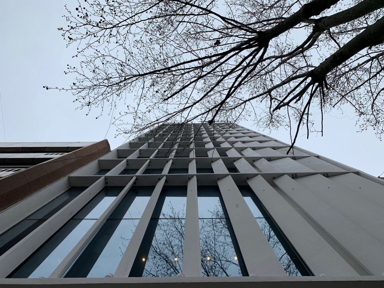 Distrito Diagonales